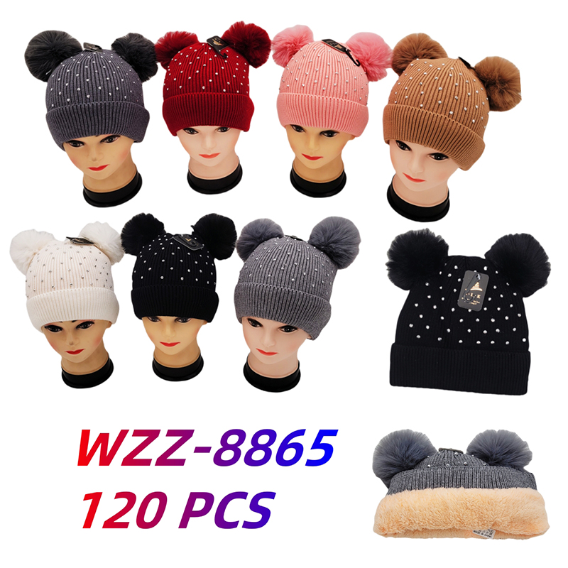 WZZ-8865 CS120
